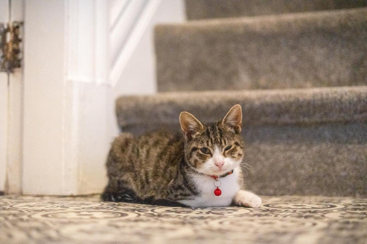 Cavendish Cat And Gaming House Διαμέρισμα Μπλάκπουλ Εξωτερικό φωτογραφία